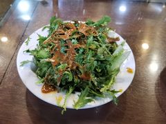 凉拌苦苣-来顺成饭庄