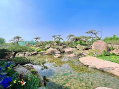 -罗红摄影艺术馆