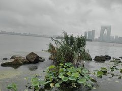 -金鸡湖景区