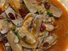 -杨氏青龙虾·羊蝎子(托乐嘉店)