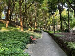 -重庆市江北嘴中央商务区中央公园