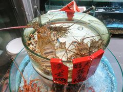 -强记海鲜·大排档(蛇口新街店)