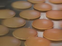 -泽田本家·铜锣烧(环贸店)