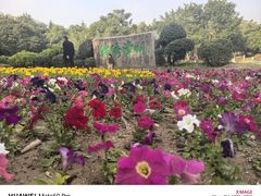 -东南花都花博园