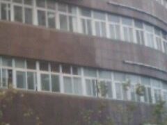 -上海市第四人民医院