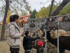 -意大利农场度假村