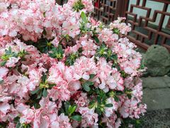 -汇龙潭