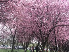 -义乌之心城市生活广场(新马路店)