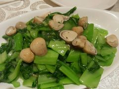 -马凯餐厅(长椿街店)