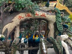 -西双版纳原始森林公园