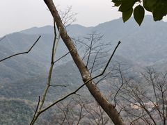 -灵顺寺