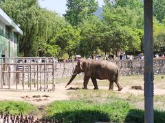 -西安秦岭野生动物园