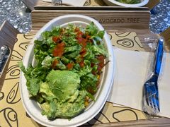 -油梨树AVOCADO TREE(望京店)