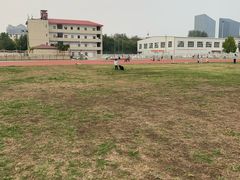 -河南财经政法大学(文北校区)