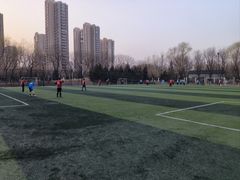 -太阳宫足球俱乐部
