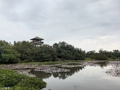-沙美村