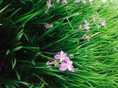 -贵阳市花溪国家城市湿地公园