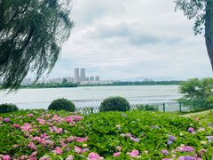 -金银湖国家城市湿地公园