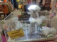 -丽达购物中心(崂山店)