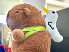 -凤凰汇购物中心