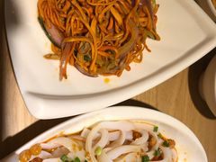 -守柴炉烤鸭(科华中路王府井店)