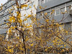-曲阜师范大学(曲阜校区)
