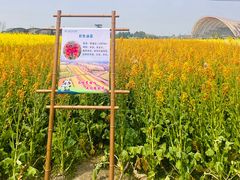 -中国天府农业博览园