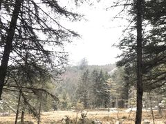 -硗碛藏寨·神木垒景区