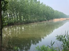 -微山湖红荷湿地景区