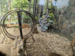 -珠海海泉湾神秘岛亲子乐园