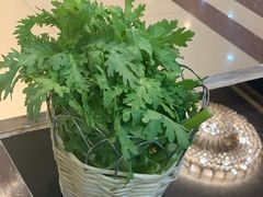 -蝎王府(曙光街店)
