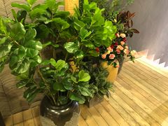 -唐沫茶兮(仓山万达金街店)