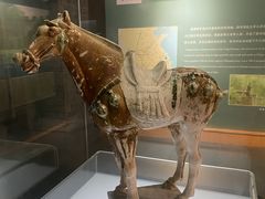 -衢州市博物馆