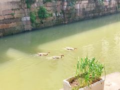 -丝绸小镇荻港古村