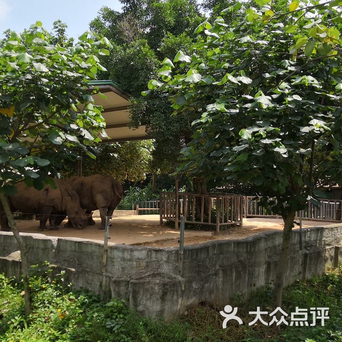 東莞香市動物園