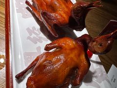 -大鸽饭(岗顶店)
