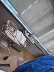 -杭州贝瑞斯美华妇儿医院·早孕·产检·儿科