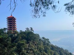 -缙云山景区