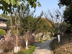 -花溪公园