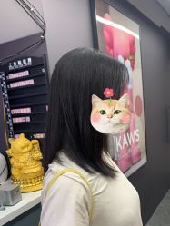 点击看大图 -藤野造型