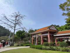 -顺峰山公园