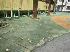 -徐家汇源景区-衡山公园