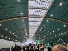 -龙阳路磁悬浮列车总站-停车场