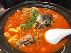 酸汤鱼-贵州大厦贵州厅(樱花园西街店)