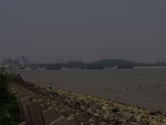 -吴淞炮台湾湿地森林公园烧烤区