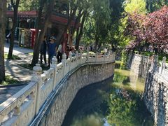 -莲池书院博物馆