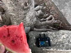 -白鹤梁水下博物馆