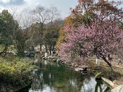 -白马涧龙池景区
