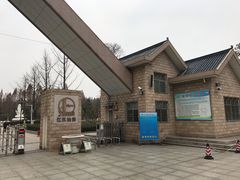 -水杉园