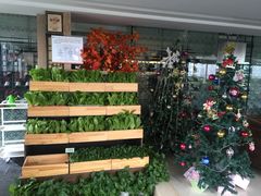 -真爱中国餐馆·年华店(朱雀大街店)